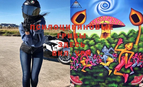 ALPHA-PVP Покачи