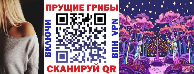 Псилоцибиновые грибы мицелий  купить наркоту  Солигалич 